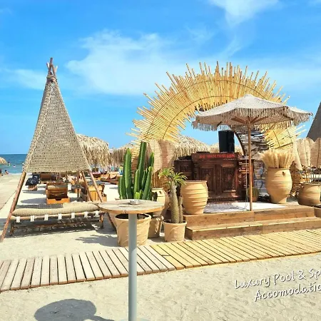 Japandi Queen Std - Infinity Pool & Spa Resort Navodari